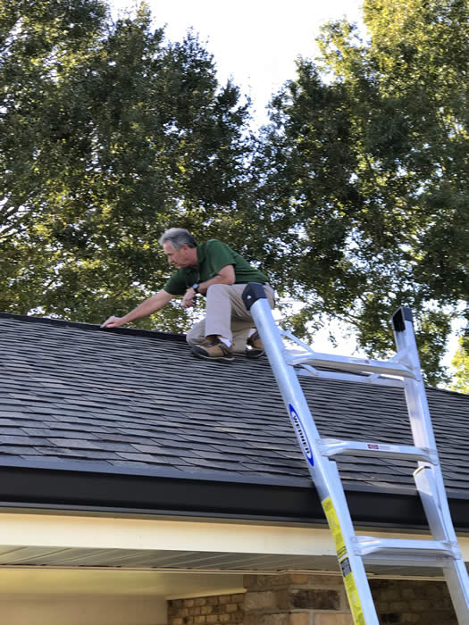 Roofing and Attic - Sugarland Home Inspection